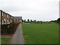Housing on the edge of the common in Billingham East Ward