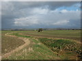 Drainage channel near North Fording Farm in TN29 0DF