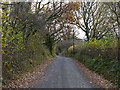 Road heading south towards Blaenpennal in SY23 4TR