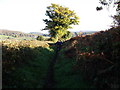 Bridleway from Allt-yr-Esgair to Bwlch in LD3 7JQ