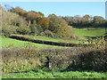 Gate over the way to Holwell Farm from Chiltern Cross in EX16 9FA