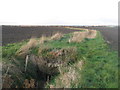 Bridge over drainage channel in Romney Marshes in TN29 0DU