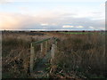 Footbridge near Popton Bridge in TN29 0DU