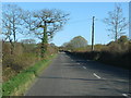 Straight stretch of the B3227 in EX16 9BB