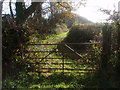 Llwybr Bryngwelltyn / Bryngwelltyn footpath in SA34 0RT