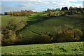 Hillside above Nailsworth in GL6 0BJ