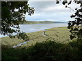 Salt marshes bordering the western side of the River Taf in Laugharne Township Community