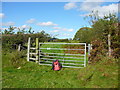 Gate and stile Landsker Borderlands Trail north of Vicar's Mill in SA66 7LS