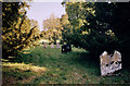 Sherfield English Old Churchyard in SO51 6FL