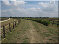 Icknield Way by horse gallops in CB8 9SD