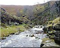 The end of the gorge, Eggleston Burn in DL12 0BA