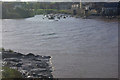 River Avon, Shirehampton in BS11 9QS
