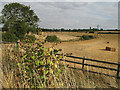 Farmland near Buntingford in SG9 9GF
