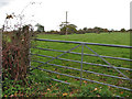 Public footpath across pasture in IP22 2EA