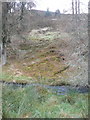 Quharity Burn under Ascreavie Hill in DD8 5HA
