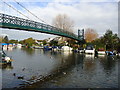 River Thames at Thames Ditton in KT7 0QU