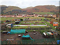Tillicoultry allotments in Clackmannan