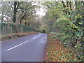 Loxwood Road west to Plaistow in RH14 0NY