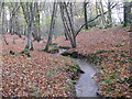 Stream in Long Copse in RH14 0NY