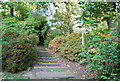 Steps, the LOOP, Heathfield Estate in CR2 8HR