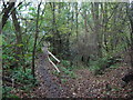 Path junction in a former quarry in CT21 5WB