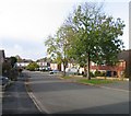 Branston Close in LE13 1EJ