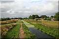 Cut-off Channel, near Lakenheath in IP27 9JA
