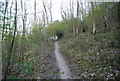 Footpath in Further Plantation in BN20 8RY