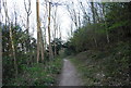Footpath, Further Plantation in BN20 8RY