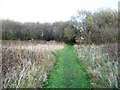 Informal but well-used footpath in WA5 1BU