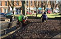 Planting Bulbs in Boydfield Gardens in Prestwick