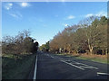Lynn Road otherwise known as the A134 in PE33 0DU