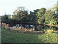 Pond at Shouldham Thorpe in PE33 0DT