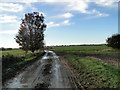 Muddy track near Shouldham Thorpe in PE33 9HE