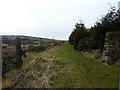 Footpath at Blackshaw Royd Farm in OL14 8RS