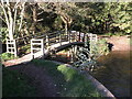 Footbridge, on the River Horner, Bossington in TA24 8HF