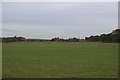 Runway, Stow Maries Aerodrome in CM3 6SA