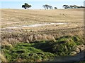 Stubble field near Parduvine in EH24 9ED