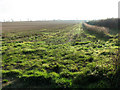 Stubble field in winter sunshine in PE33 9EX
