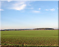Cultivated field west of Marham Hall Farm in PE33 9HT