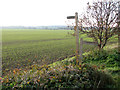 Footpath signposts beside Gallow Lane, Shouldham in PE33 9FA