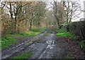 A Muddy Lane in CH64 7UD