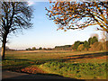 Stubble field west of Lynn Road (A134) in PE33 0DU