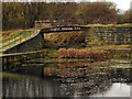 Manchester, Bolton & Bury Canal, Footbridge in BL3 1LG