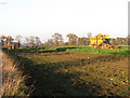 Sugar beet harvest by Clayfield Farm, Tottenhill in PE33 0SA