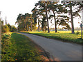 Warren Road past the playing field in Shouldham in Airfield Ward