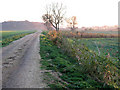 The private track to Button Fen, Marham in PE33 0DJ