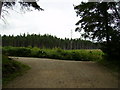 Track junction in Cropton Forest near Spiers House Campsite in YO18 8ET
