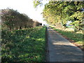 Country lane near Tatterford, Norfolk in NR21 7AX