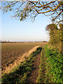 Footpath past Five Acres, Kessingland in NR33 7PJ